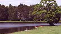 Gooses Roost Bed and Breakfast